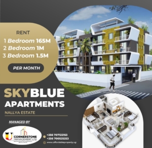 IMG-20200316-WA0034 Skyblue Apartments Flyer